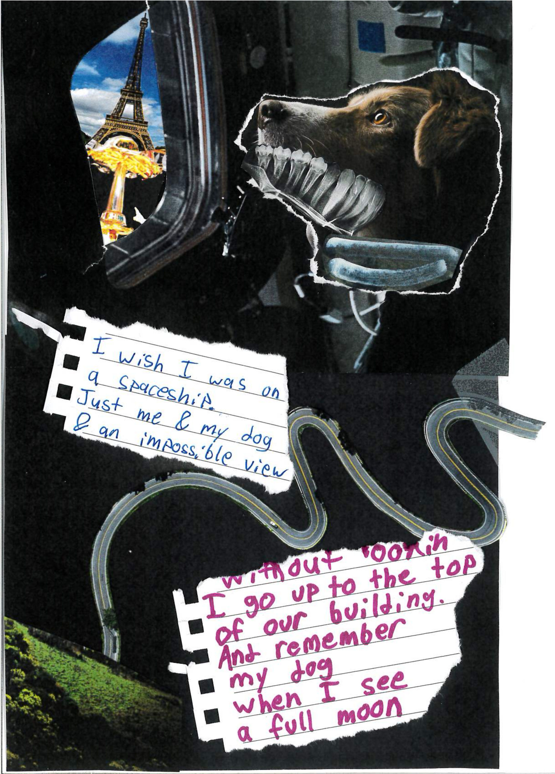 Collage of a dog staring out a space shuttle